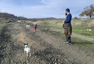 Walking up the hill (Rosie holding Thelma's lead)