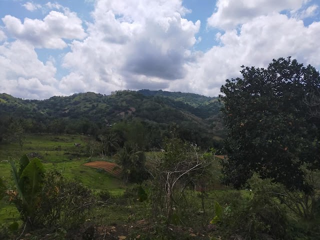 🌳🏡🌱 Lot for Sale in Sirao Busay Cebu 🌳🏡🌱