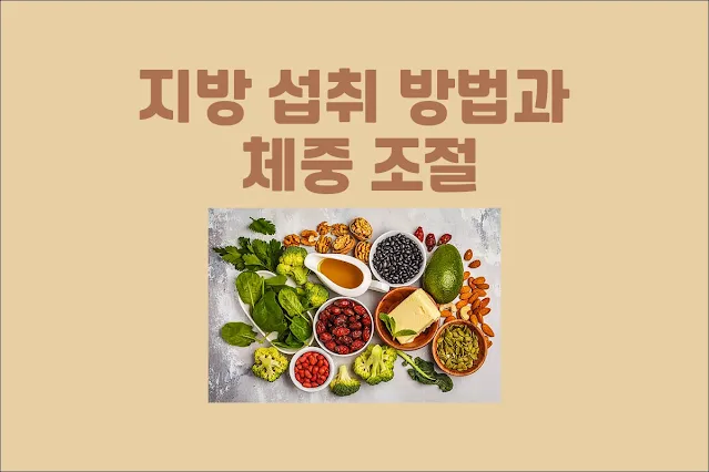 건강한-지방-섭취-방법과-체중-조절