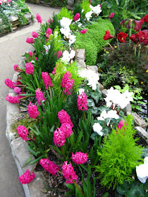 Allan Gardens Conservatory Spring Flower Show 2012 pink hyacinths white cyclamen by garden muses: a Toronto gardening blog
