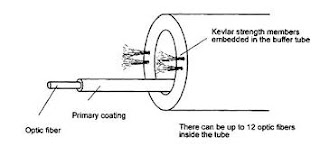 Loose Tube - Type