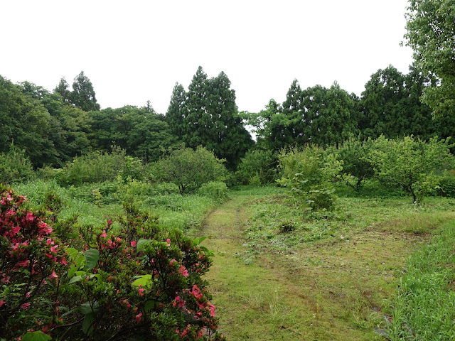 鳥取県米子市尾高　あじさい園