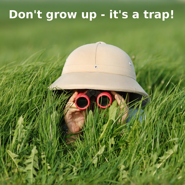 Don't Grow Up - It's a Trap!