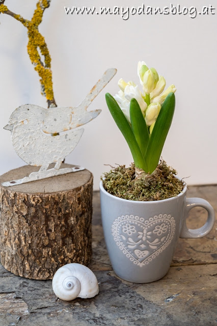 Frühlingsblumen in Tasse