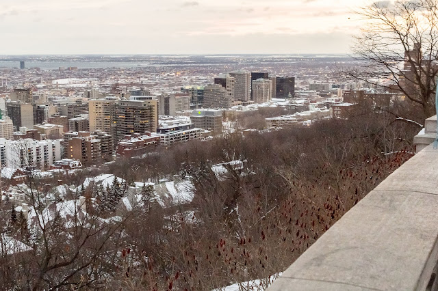 city view from Mount Royal Park in Montréal, Canada