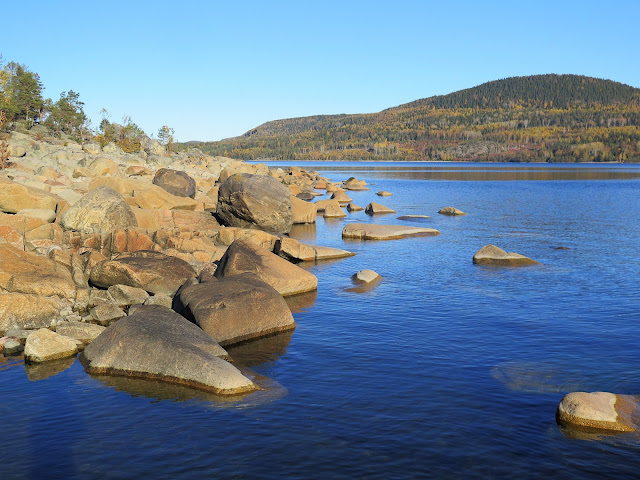 Rödhällorna Högakusten