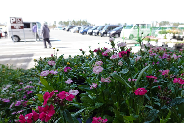 鳥取県境港市竹内団地 PLANT-5 境港店