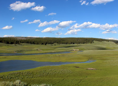 yellowstone river at hayden valley looking for wildlife