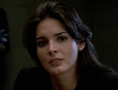 angie harmon law and order