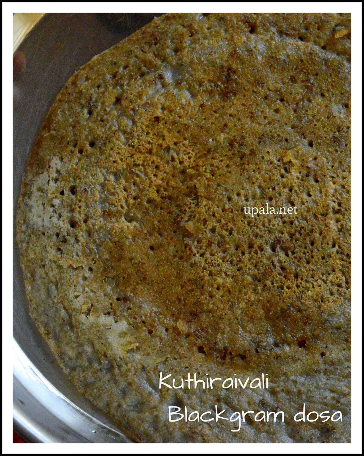 kuthiraivali black gram dosa