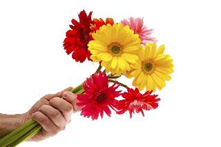 باقة ورد جميله -Beautiful bouquet of flowers