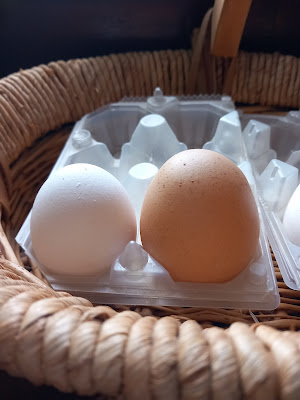 Uovo dalla forma non ovale, deformato