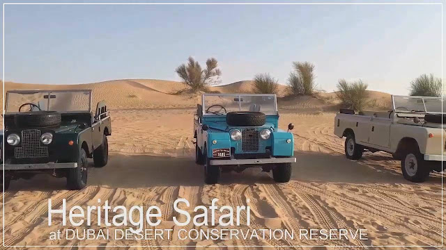 Safári no Deserto de Dubai