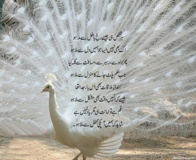 Urdu Poetry new poetry latest poetry Best poetry