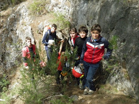 GEV, Jesus, Noe