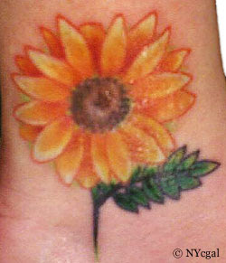 The Love of Vine Flower Tattoo Designs : Soul Of Tattoo
