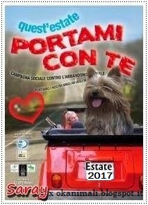 http://okanimali.blogspot.it/2017/06/campagna-contro-labbandono-estate-2017.html