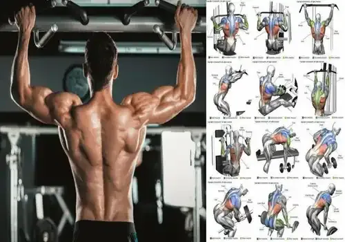 The ONLY 2 Upper Back Exercises You Need
