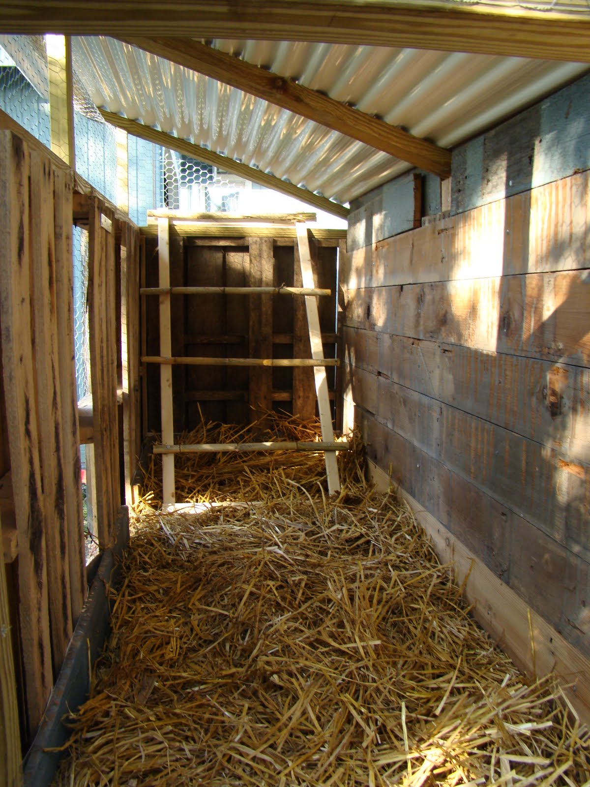 Inside Chicken Coops