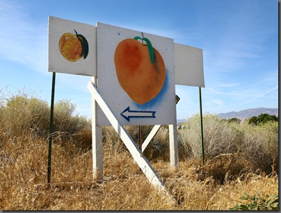 other peach sign web