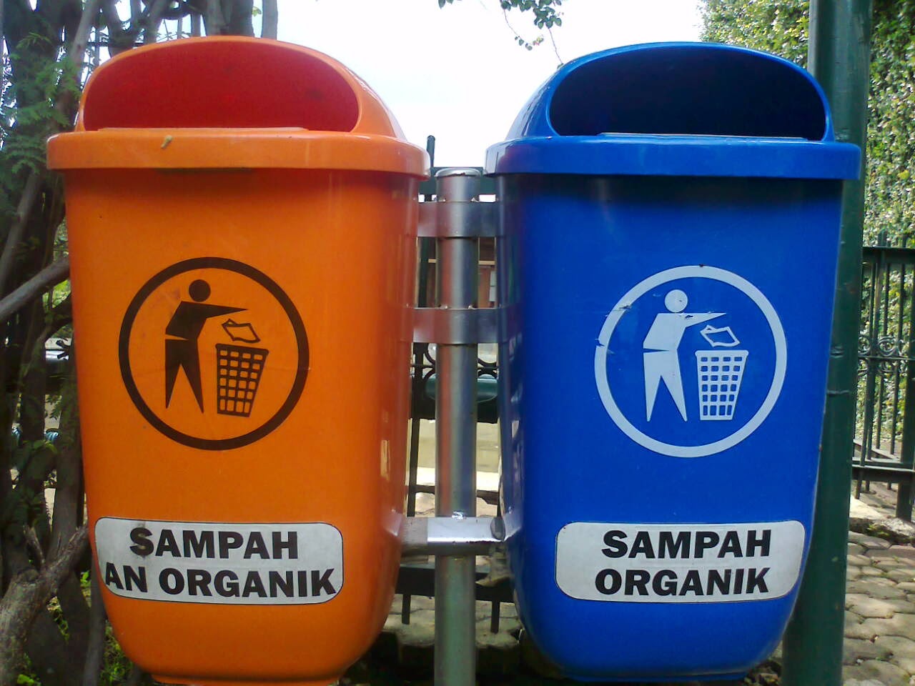 Mengenal Jenis  Sampah  Organik dan Anorganik  Berita Terkini