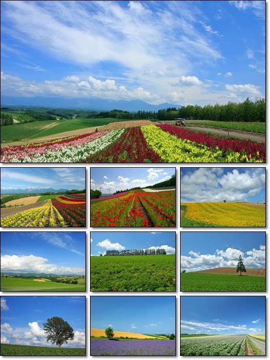 Japan Hokkaido Landscape