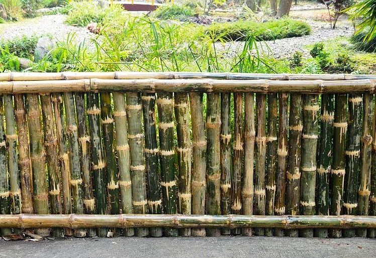 Ide 22+ Harga Pagar Bambu Jadi