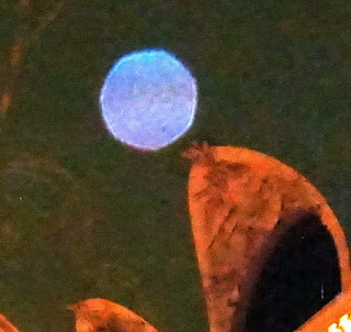 blue purple orb