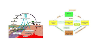 Geologic Cycle of Soil