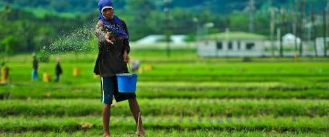 Pertanian Organik di Malaysia