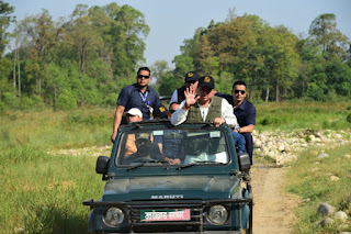 safari at rajaji national park