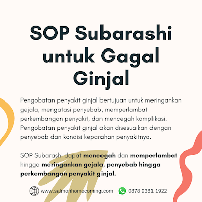 Obat Ginjal Bengkak Sebelah Kiri SOP Subarashi, WA 0878 9381 1922