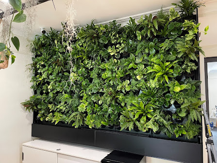 Green plants mounted on an indoor wall
