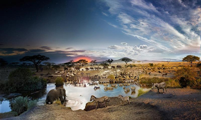 color photograph of Serengeti watering place made by blending multiple photographs taken over time