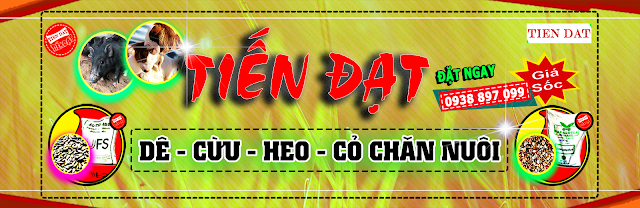 BÁN HẠT GIỐNG CỎ CHĂN NUÔI