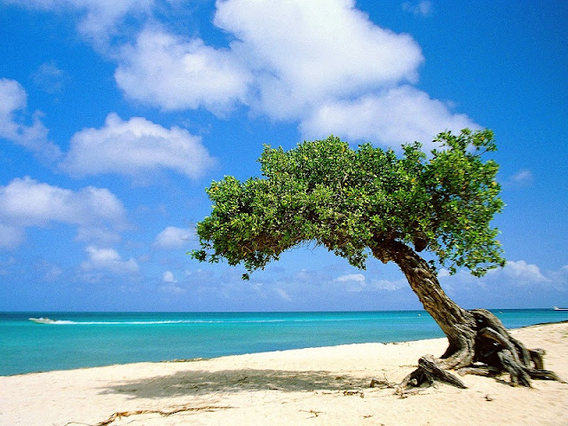 Beautiful Aruba Island