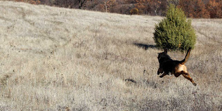 Rambo in mid-flight. Literally.