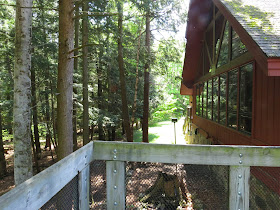 Hartwick Pines - Michigan, USA