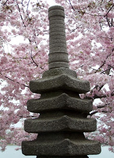 Washington DC, Pagoda de la Tidal Basin