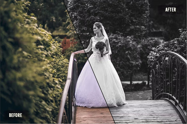 50 Black and White Essential Wedding LUTs Pack