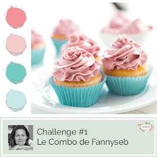 http://blog.com16.fr/2018/04/01/challenge-1-combo-de-fannyseb/