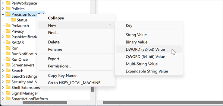 5-New-DWORD-on-PrecisionTouchPad