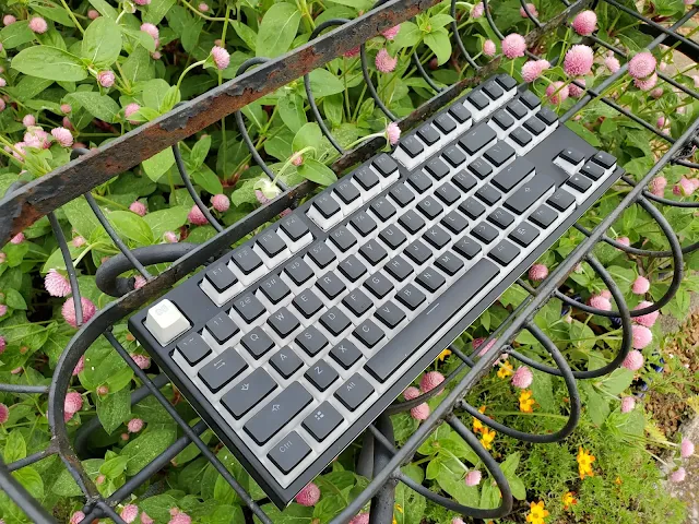 What Is A Tenkeyless Mechanical Keyboard | TKL