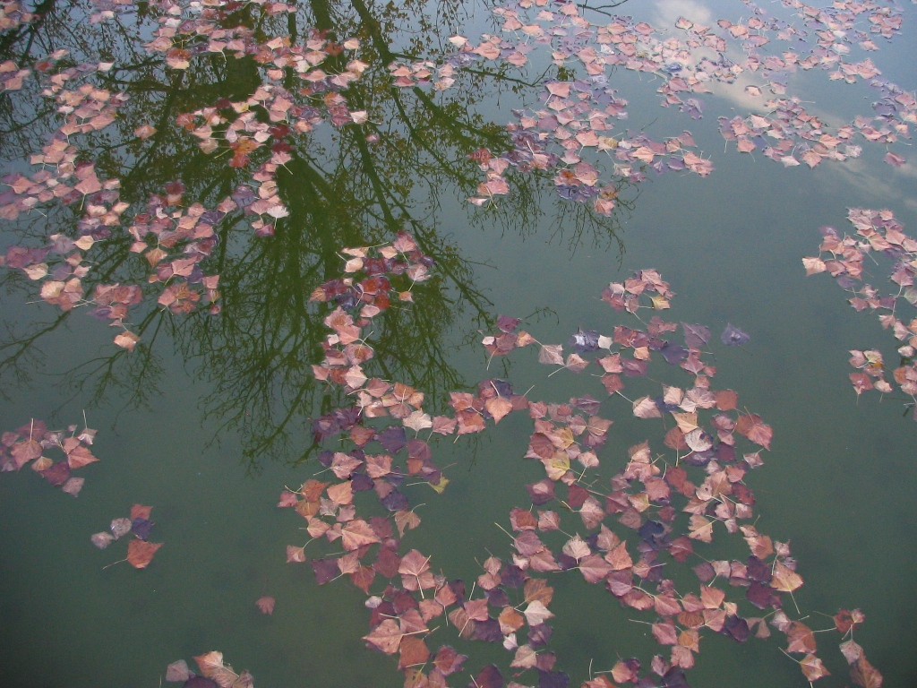 dibujos de otoño