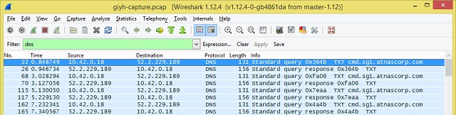 Viewing DNS packets in Wireshark