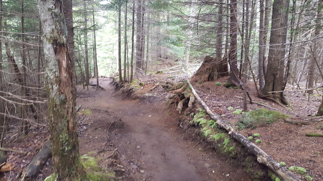 Sentier vers le mont Marcy