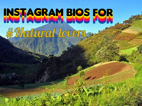 Instagram bio nature lover