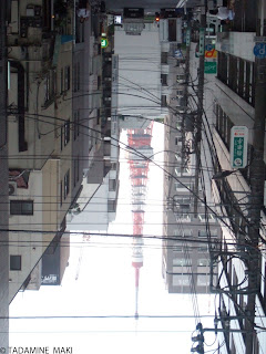 Tokyo Tower bound with wires, seen from between my legs