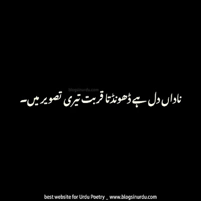 Best 60 One Line Urdu Poetry, Quotes, Captions