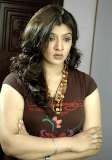 aarthi agarwal hot exposing spicy still